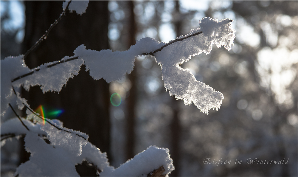 Eisfeen im Winterwald