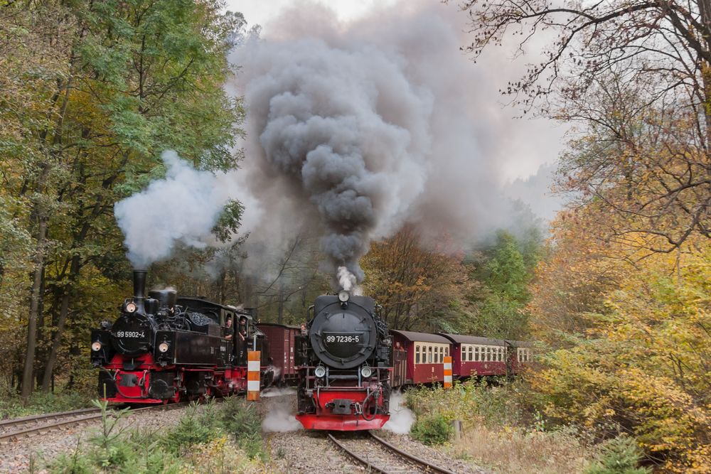 Eisfelder Talmühle, 99 5902-4, 99 6102-0, 99 7236-5