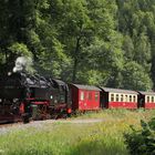 Eisfelder Talmühle, 99 7238, Juli 2013