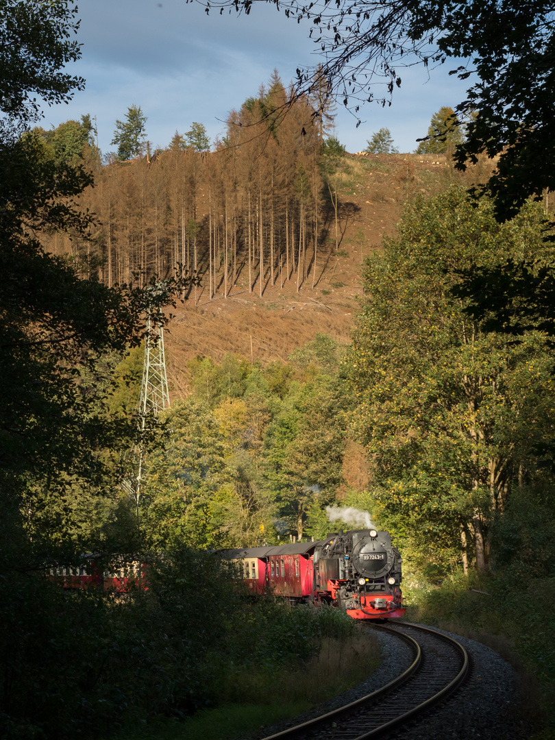 Eisfelder Talmühle, 99 7243-1