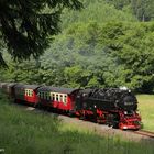 Eisfelder Talmühle, 99 7245, Juli 2013