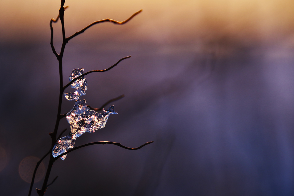 Eisfiguren am Abend