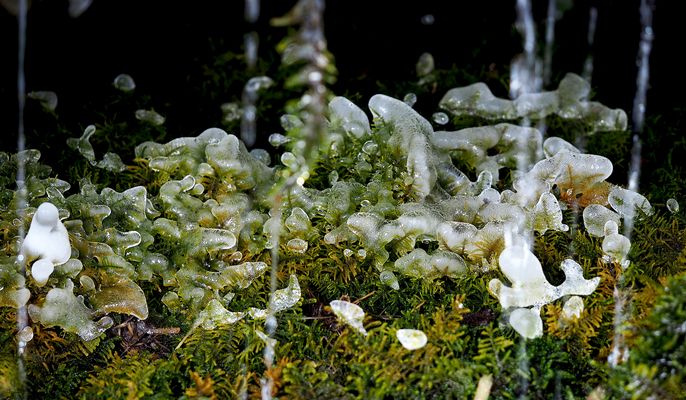 Eisfigurentanz unter überfliessendem Brunnen ...