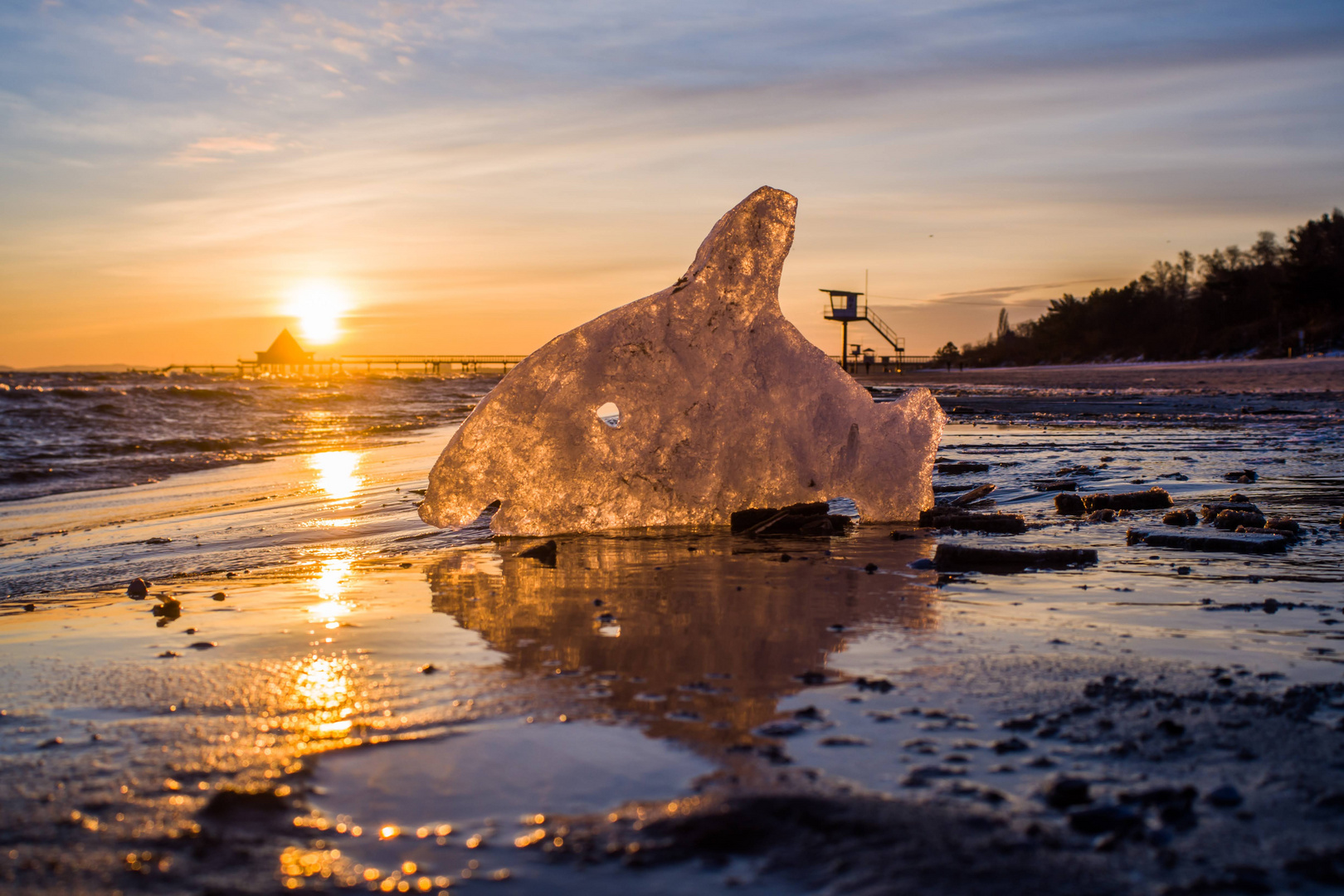 Eisfisch im Sonnenaufgang