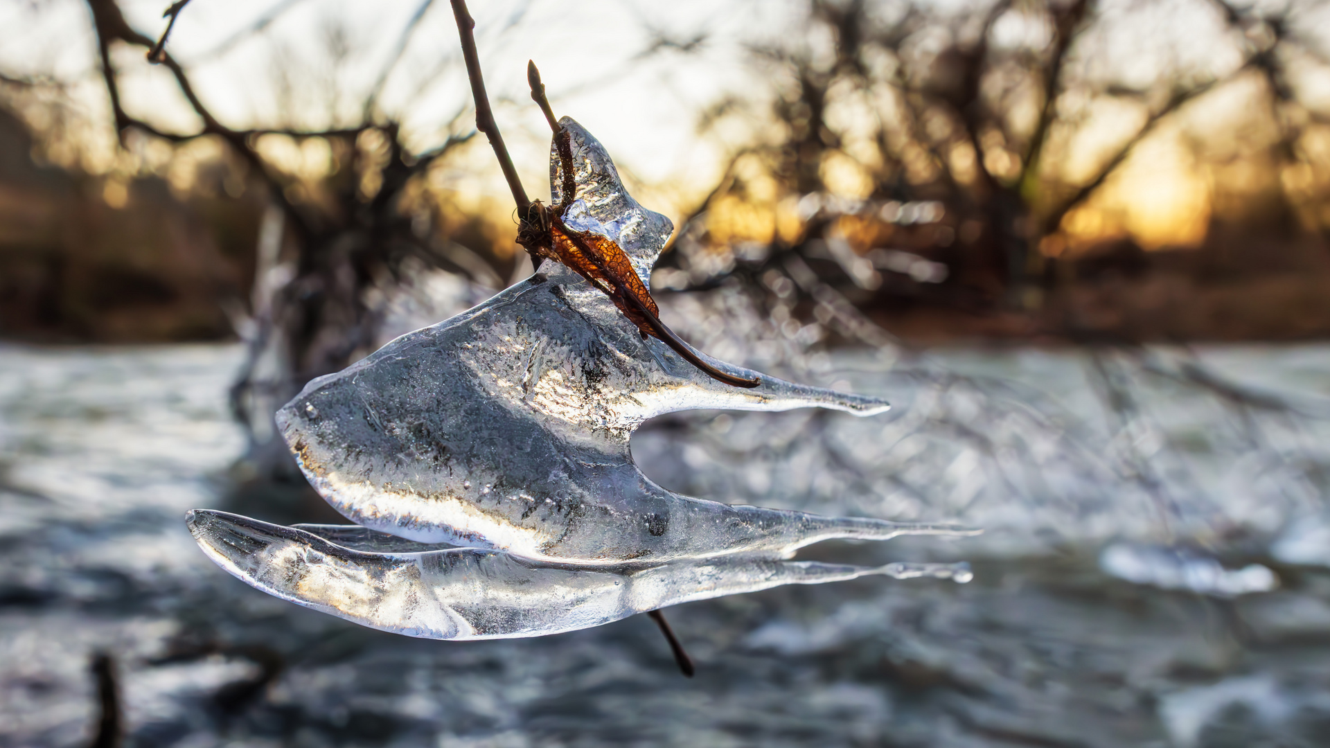 Eisfischen Foto & Bild sonstiges, jahreszeiten, winter Bilder auf