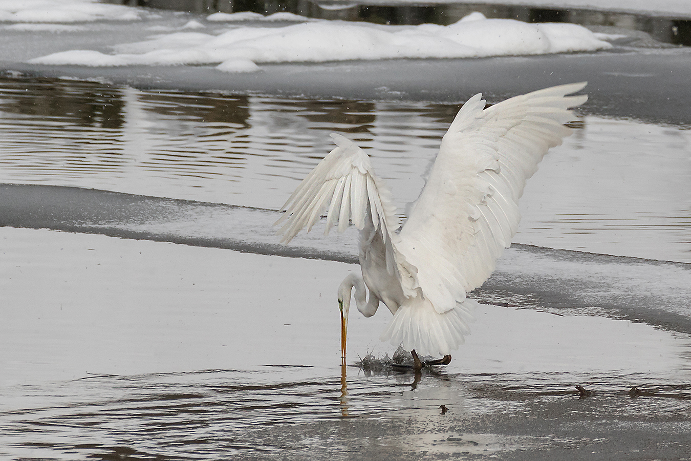 Eisfischen...