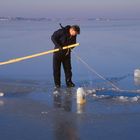 Eisfischerei am Ringkøbingfjord (3)