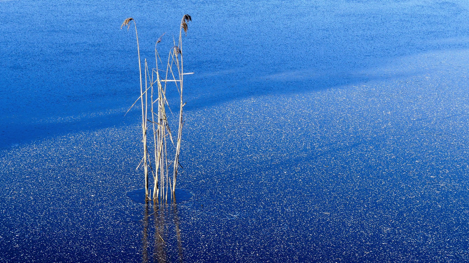 Eisfläche auf See