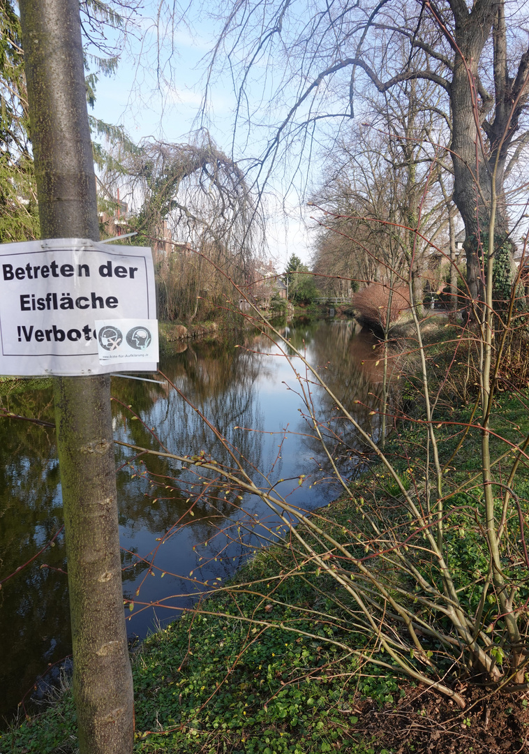 Eisfläche im Frühling (2)