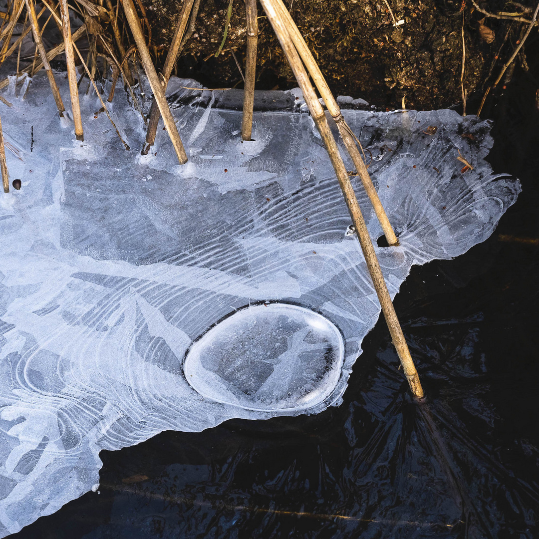 Eisformen auf dem Lützelsee bei Zürich