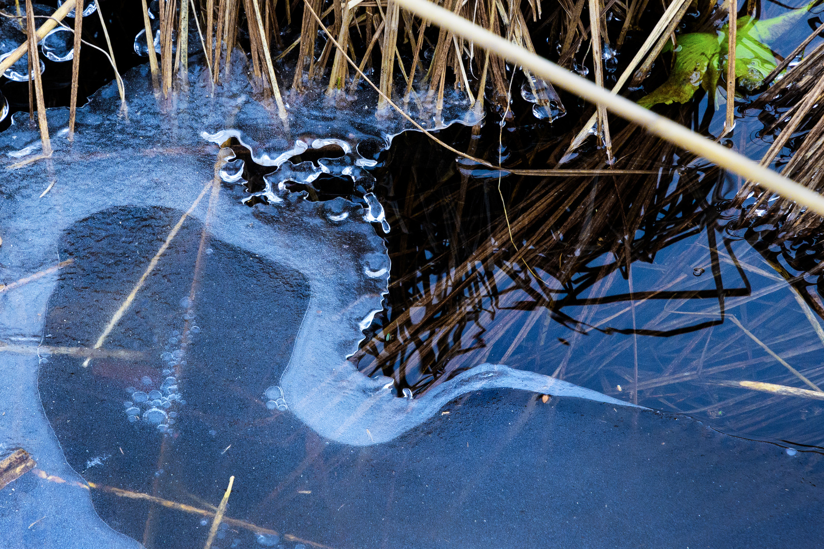 Eisformen - tauchender Reiher?