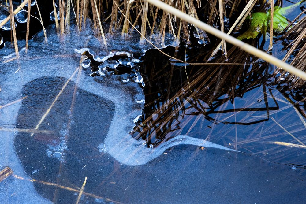 Eisformen - tauchender Reiher?