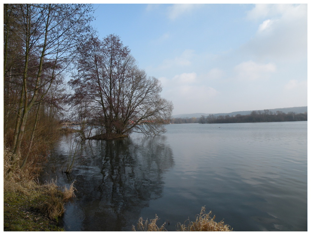 Eisfrei ! Spaziergang am Freizeitsee.Heute bei herrlicher Sonne.