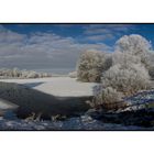 Eisfreier Zufluß im frostigen Januar