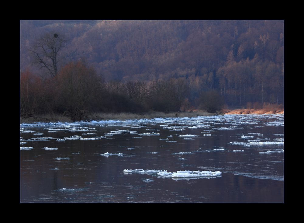 Eisgang an der Weser 2012: ...endlich Winter-Foto-Wetter...