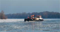 Eisgang auf der Elbe
