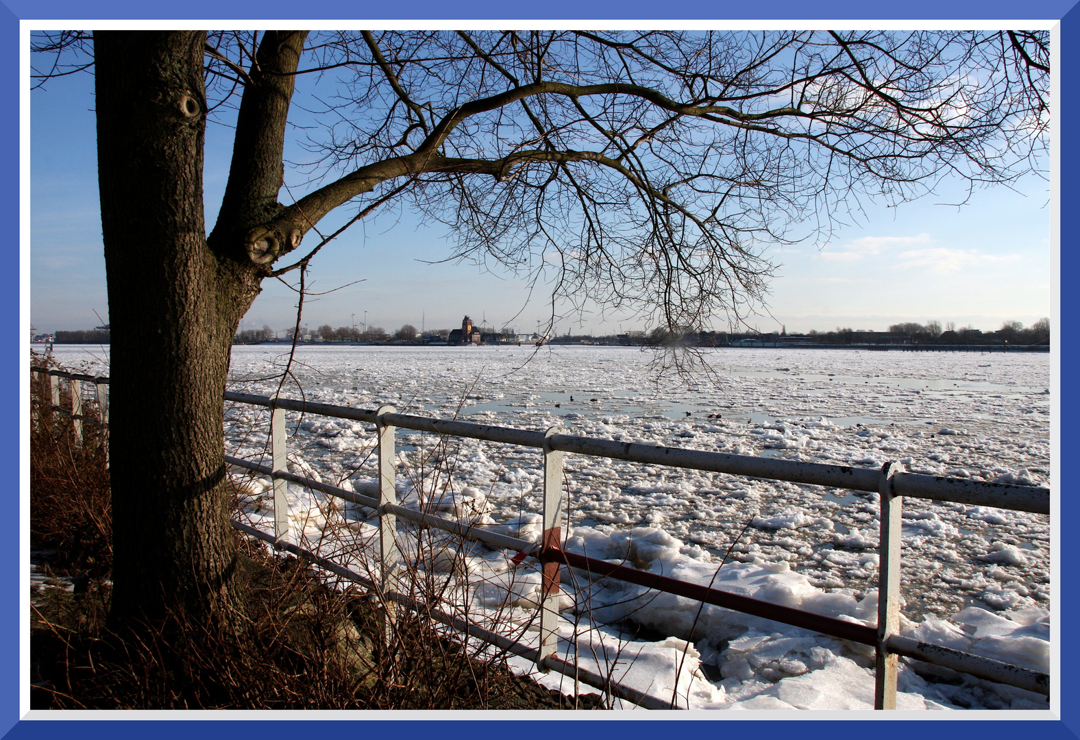 Eisgang auf der Elbe Winter 2012