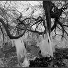 Eisgebilde am Großen Plöner See im Januar 2016