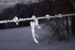 Eisgebilde an Stacheldrahtzaun