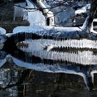 Eisgebilde auf der Plöner Prinzeninsel am 15. Februar 2017