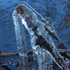 Eisgebilde auf der Prinzeninsel Plön am 6. Januar 2017