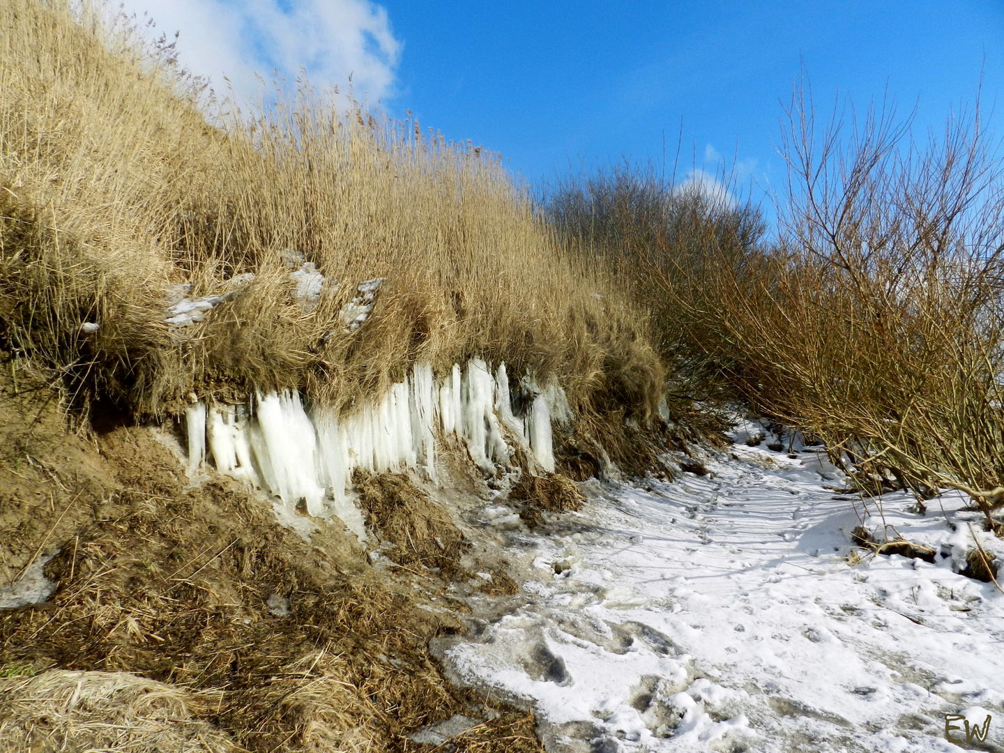 Eisgebilde in den Dünen...