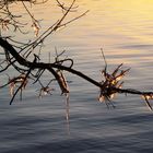 Eisgebilde in der Abendsonne