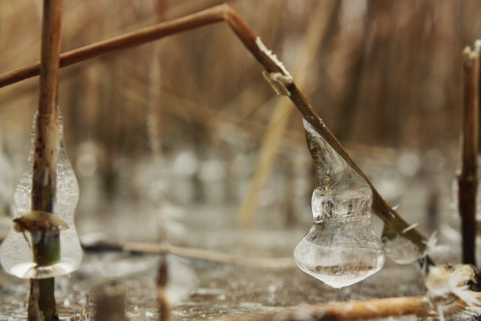 Eisgefrorene Bewegung.