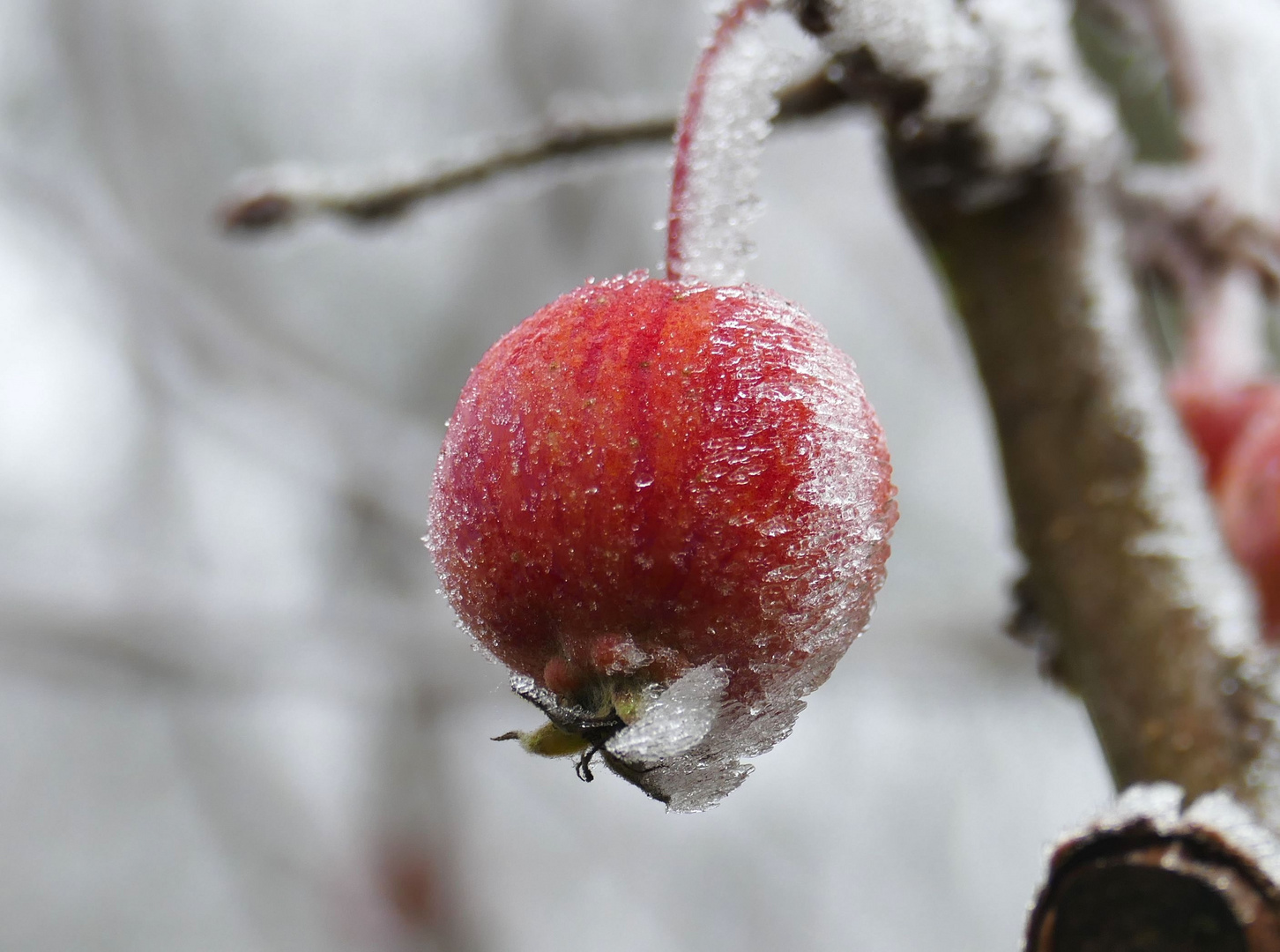 ...eisgekühlt...