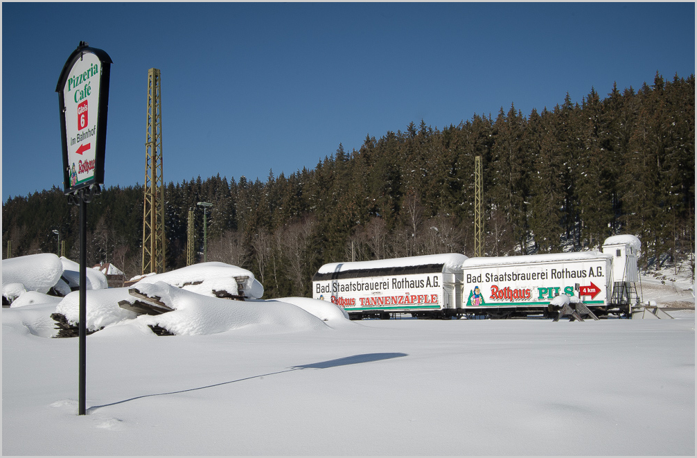 Eisgekühlte Tannenzäpfle