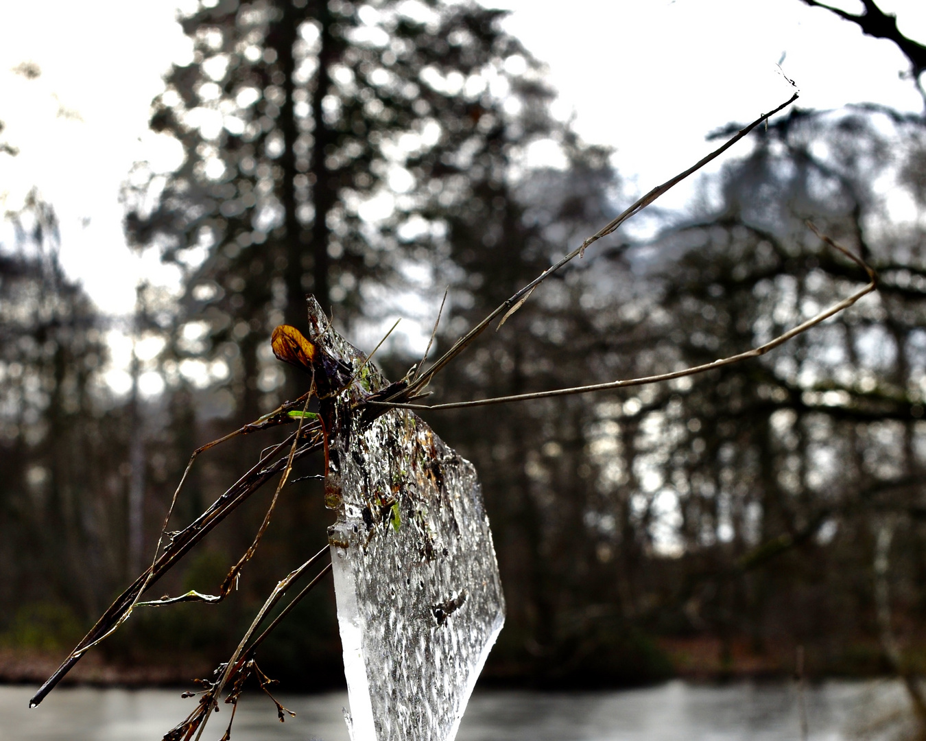 Eisgeschichte