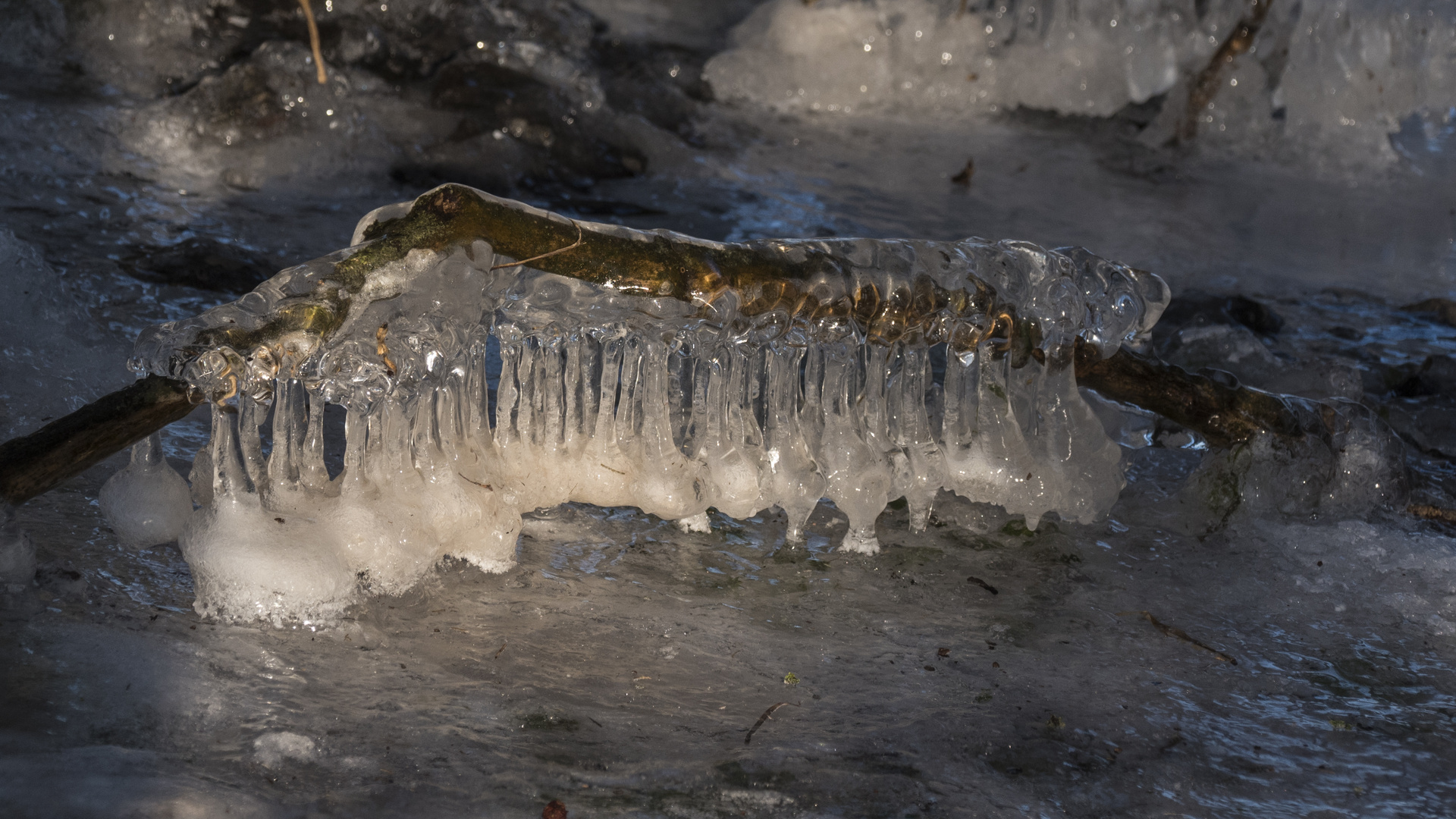 Eisgestalten