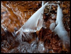 Eisglocke am Roten Fluss