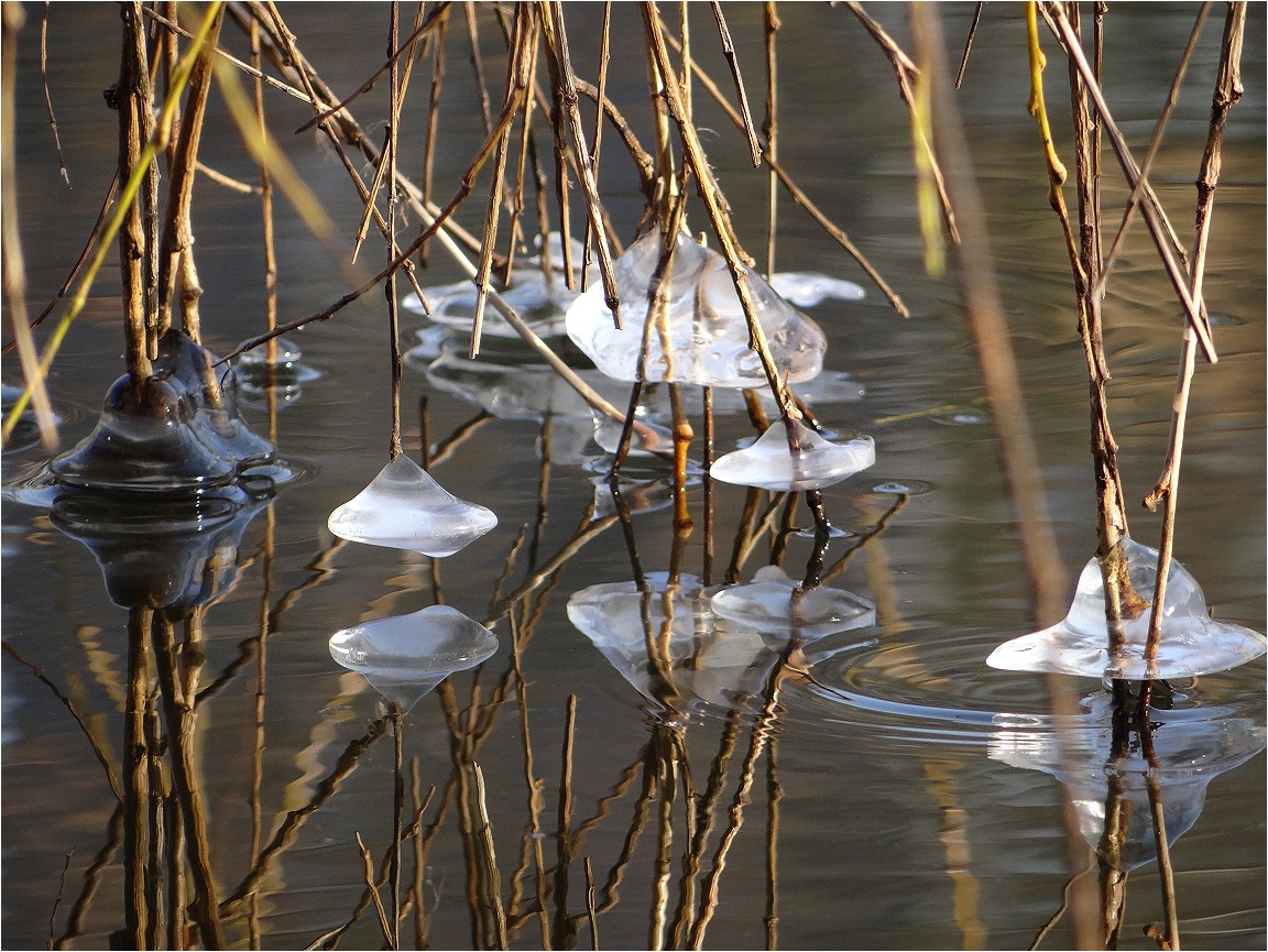 Eisglocken