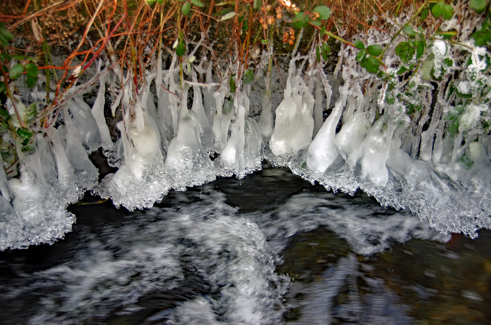 Eisglocken