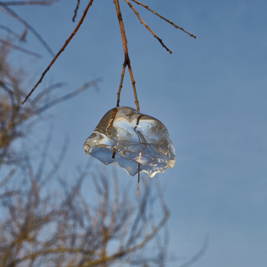 Eisglöckchen