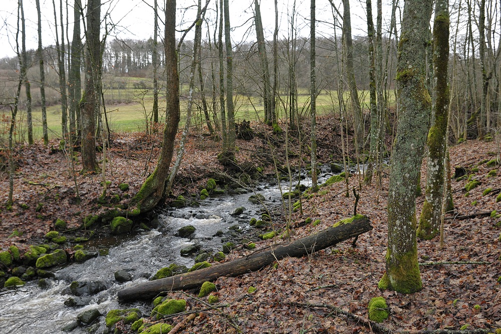 Eisgraben: Durch Wiesen und Wälder 01