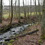 Eisgraben: Durch Wiesen und Wälder 01