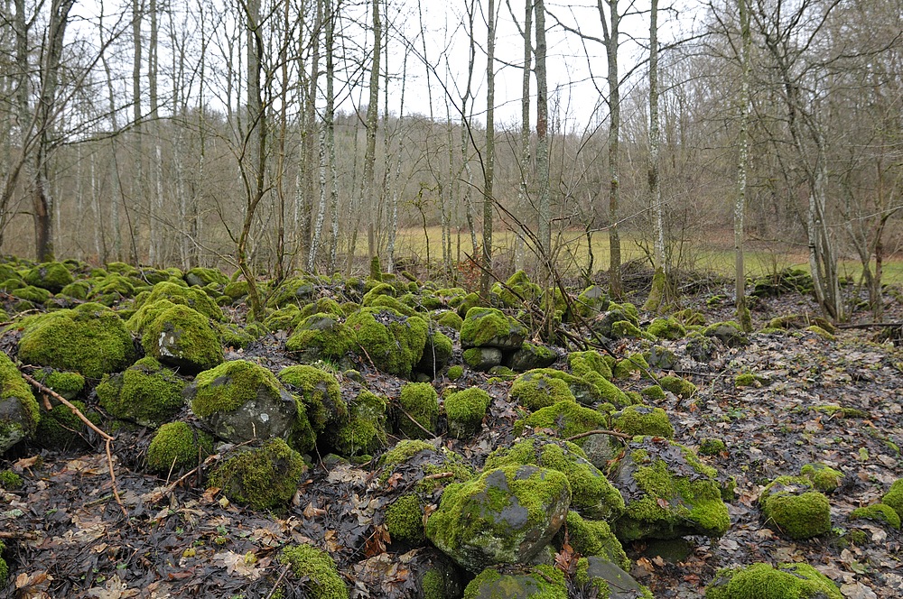 Eisgraben: Durch Wiesen und Wälder 02