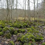 Eisgraben: Durch Wiesen und Wälder 02