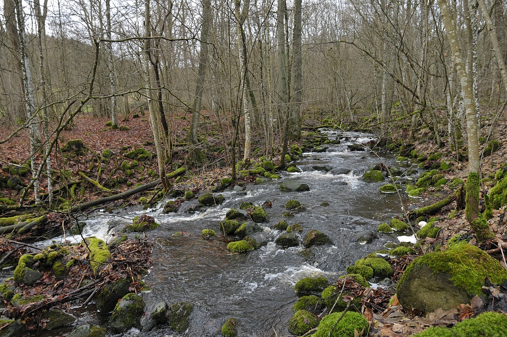 Eisgraben: Durch Wiesen und Wälder 02