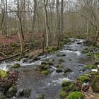 Eisgraben: Durch Wiesen und Wälder 02