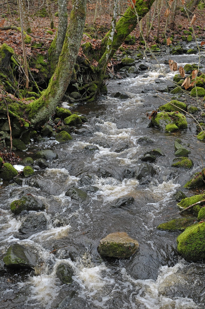 Eisgraben: Durch Wiesen und Wälder 03