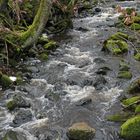 Eisgraben: Durch Wiesen und Wälder 03