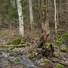 Eisgraben: Durch Wiesen und Wälder 04