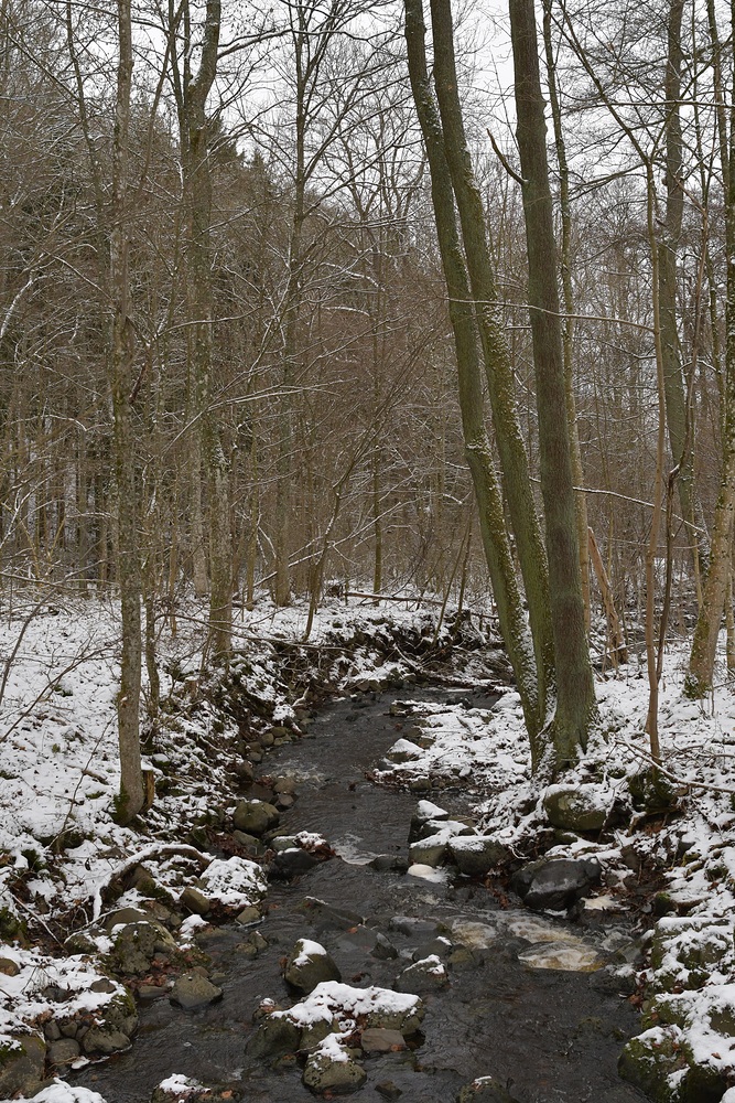 Eisgraben: Im Winter besonders schön 01