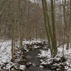 Eisgraben: Im Winter besonders schön 01