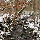 Eisgraben: Im Winter besonders schön 02