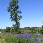 Eisgraben/hohe Rhön