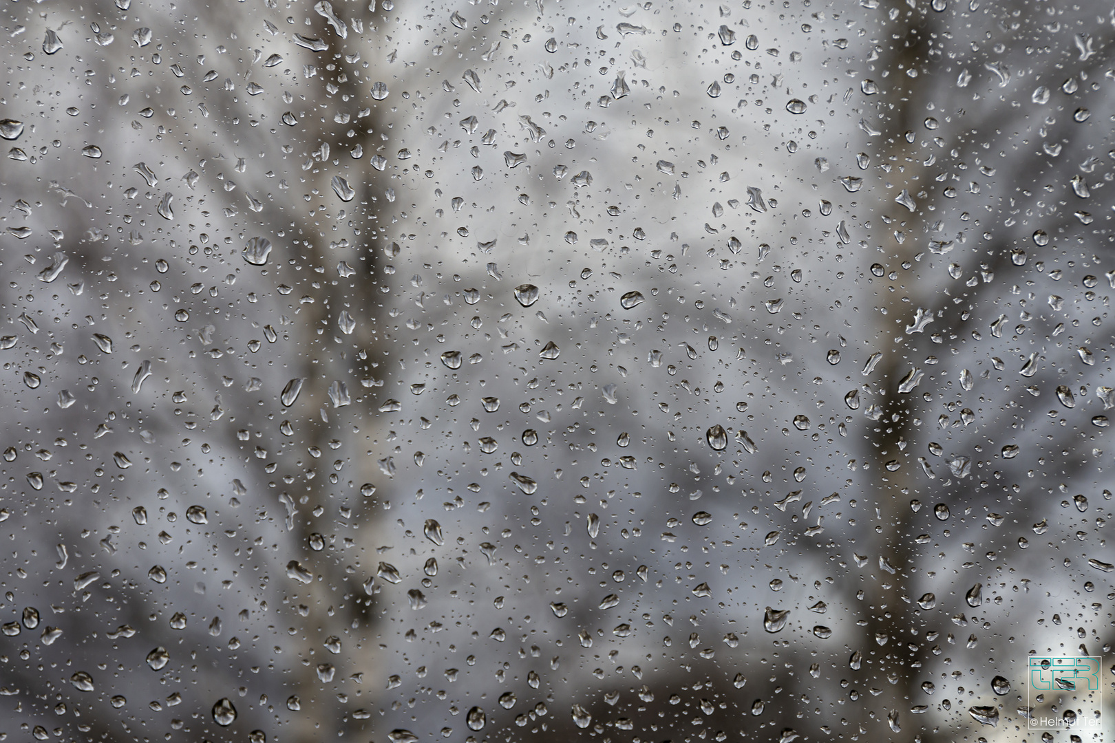 Eisheilige - Ein kühler Regentag